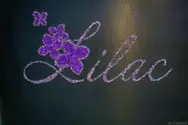 Фото компанії Салон краси "Lilac"