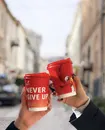 Фото компанії Mollis coffee