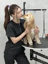 Фото компанії Kilua grooming