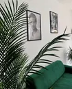Фото компанії Перукарський салон "Куафер"