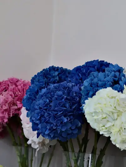 Фото компанії FloraGo