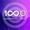 Логотип компанії Буковинська хвиля 100 ФМ