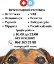 Фото компанії Ветеринарний госпіталь