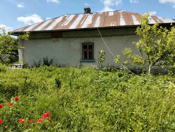 Фото компанії Фарбування дахів