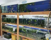 Фото компанії Магазин "Акваріум"