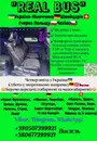 Фото компанії Пасажирські перевезення Чехія, Німеччина, Швейцарія
