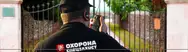 Фото компанії Служба охорони "Охорона і Спецзахист"