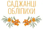 Фото компанії Саджанці обліпихи