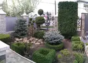 Фото компанії Фігурна стрижка кущів, туй
