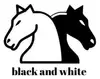 Логотип компанії Шахова школа "Black & White"