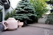 Фото компанії Poseative