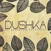 Логотип компанії Магазин "Dushka"