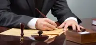 Фото компанії Адвокат "Бачук Еліна Сергіївна"