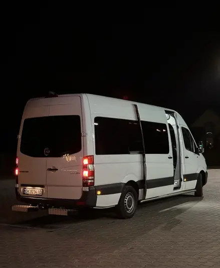 Фото компанії The Lion Bus