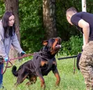 Фото компанії Послуги Кінолога