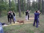 Фото компанії Ушу Іліцюань
