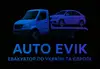 Логотип компанії Autoevik