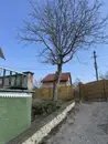 Фото компанії Професійне зрізання дерев