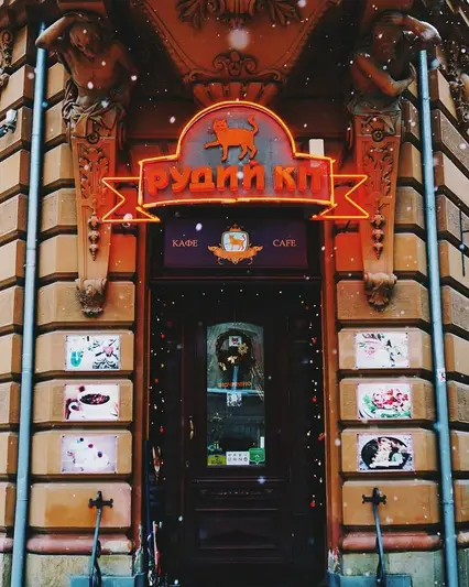 Фото компанії Кафе-кондитерська "Рудий кіт"