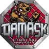 Логотип компанії Academy MMA "Damask"