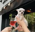Фото компанії Beans and Brews