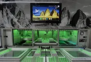 Фото компанії Зуботехнічна лабораторія "3D Dental"