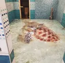 Фото компанії Top Plast