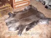 Фото компанії Магазин "Шкурка"