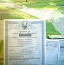 Фото компанії ФОП "Мотько Олександр Володимирович"