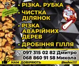 Фото компанії Команда "Diko"