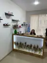Фото компанії Центр здоров'я та краси "Dr. Popiuk"