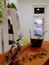 Фото компанії Ніжкам Добре