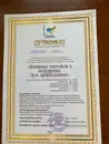 Фото компанії Психотерапевт "Ольга Іванова"