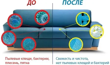Фото компанії Хімчистка "Чистий дім"