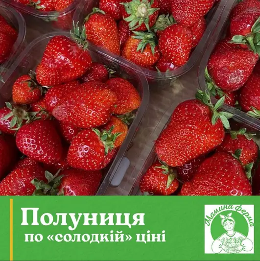 Фото компанії Служба доставки продуктів "Мамина Ферма"