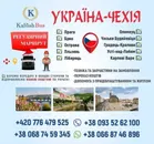 Фото компанії KalushBus