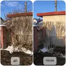 Фото компанії Обрізка дерев і кущів, чистка саду, порізка дров +