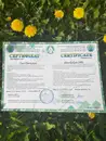 Фото компанії Остеопатія, краніосакральна терапія