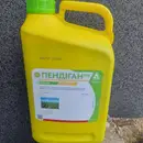 Фото компанії Agro Time
