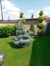 Фото компанії Клумба