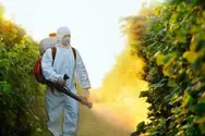 Фото компанії Центр Дезінфекції приміщень