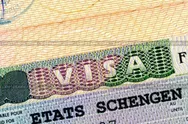 Фото компанії Фірма "Visa"