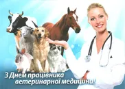 Фото компанії Ветеринарна аптека "Центр здоров'я тварин"