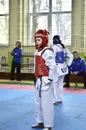 Фото компанії Vesta Taekwondo Team