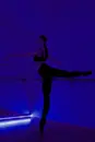 Фото компанії BilberryFit