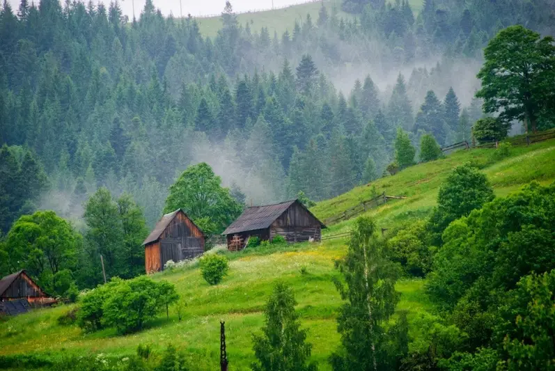 Фото компанії Карпати Транс