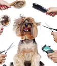Фото компанії Ветеринарна клініка "Mr.Vet"