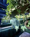 Фото компанії Soho_resto_bar