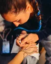 Фото компанії Creative Tattoo