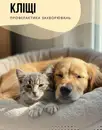Фото компанії Ветеринар "Світлана Карнась"